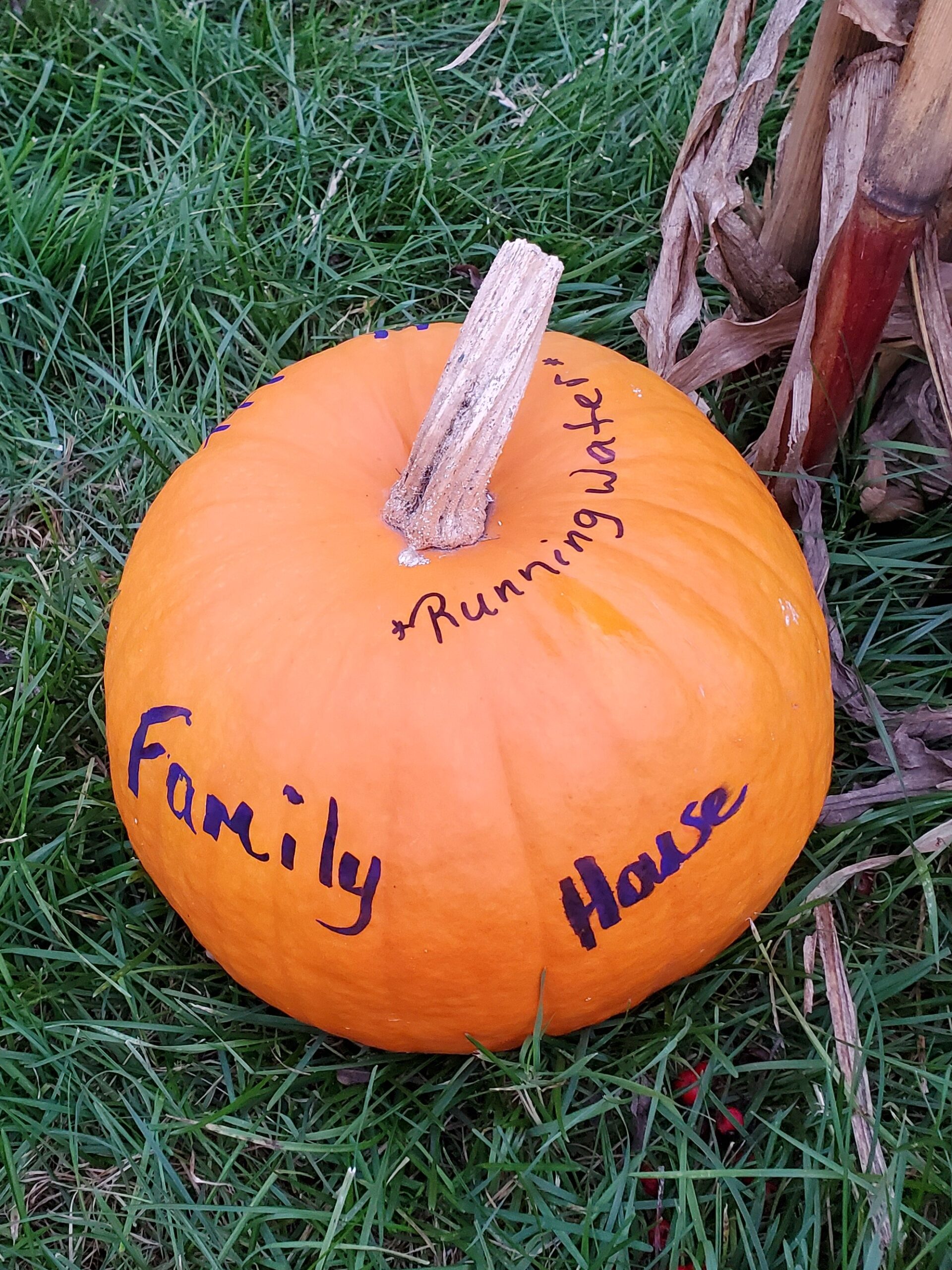 Gratitude Pumpkin Template